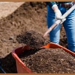 적옥토, 당신의 식물을 건강하게 키우는 비밀