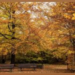 레진, 지금 바로 시작하세요!