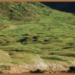 수시, 합격의 문을 열다