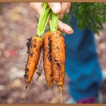 뿌리염색, 숨겨진 매력과 관리법 A to Z