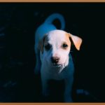 러셀기숙, 당신의 꿈을 현실로 만드는 곳