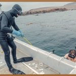 뼈 건강 지킴이! 해조칼슘, 무엇이 특별할까?