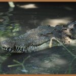 자로우: 건강한 삶을 위한 선택, 지금 시작하세요!