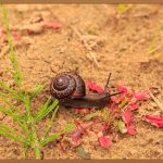 0원으로 즐기는 무한한 재미! 슬라임 만들기 완벽 가이드