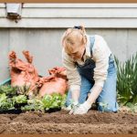 시원하고 얼큰한 콩나물국, 황금 레시피 공개!