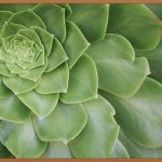 뭉친 어깨, 답답한 허리! 척추마사지기로 시원하게!