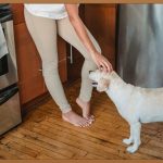 중풍, 당신의 건강을 지키는 골든타임