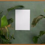 분리형 원룸, 완벽 가이드: 나만의 공간을 찾아서