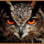 함몰눈, 숨겨진 매력을 깨우다