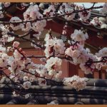 수원 비립종, 깨끗한 피부 되찾는 방법