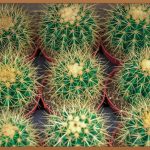 TEPS, 목표 점수 달성을 위한 완벽 가이드