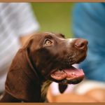 혀 백태, 제거하고 건강한 미소 되찾기