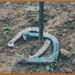 즐거움이 샘솟는 시간, 전통놀이의 매력 탐구