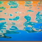 탱자, 당신의 정원을 특별하게 만들 매력