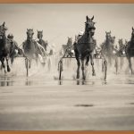 트로트, 당신의 마음을 울리는 선율