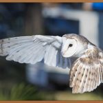 눈밑 꺼짐, 콤플렉스 탈출! 완벽 가이드