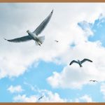 윗트임 수술, 솔직한 후기와 숨겨진 이야기