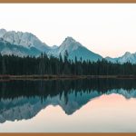 캐나다 빅토리아 여행, 놓치면 후회할 꿀팁 대방출!