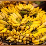 피부 고민 끝! 비타민C 크림으로 되찾는 생기