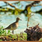 물고기 잡는 짜릿함, 웨이더 완벽 가이드