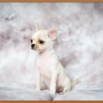 🎁 센스 폭발! 웃음 보장! 쓸데없는선물 완벽 가이드