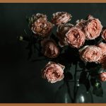 아내를 감동시킬 특별한 선물, 지금 바로 시작하세요!