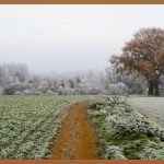 겨울방학, 영어 실력 UP! 무료 영어 캠프의 기회!