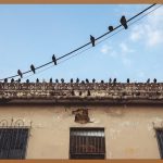 우리 집 인터넷 속도 지킴이, 유선 공유기 완벽 가이드