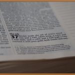 우리 아이 첫 시작, 4살 학습지 완전 정복 가이드