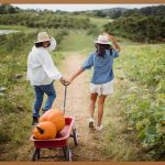 농업경영체 등록, 복잡한 절차, 핵심만 알면 쉽다!