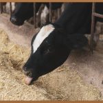 농업경영체 등록, 복잡한 절차? 이 글 하나면 OK!