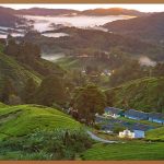 농업용 물통, 현명한 선택 가이드