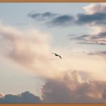 에어홀더, 이제 내 손 안에 자유를!