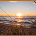 호주 박람회, 놓치면 후회할 꿀팁 대방출!