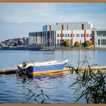 월계수잎, 주방의 마법사: 요리, 건강, 활용법 총정리