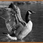 고지서, 더 이상 어렵지 않아요!