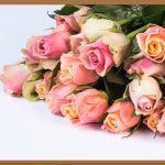 우리 아이 생일, 어린이집에서 특별하게!