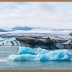 🤭블랙헤드 안녕! 코팩 없이 매끈 피부 만들기