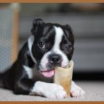 뼈이식임플란트, 망설이는 당신을 위한 완벽 가이드