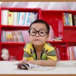 책꽃이, 당신의 공간을 변화시키는 마법