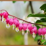 부정출혈, 당황하지 말고 꼼꼼히 대처하세요!