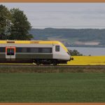 부산에서 즐기는 짜릿한 체험 학습, 놓치지 마세요!