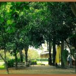 카페우유, 집에서 즐기는 특별한 맛