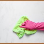 카페트청소기, 우리 집 깨끗함의 비밀 병기