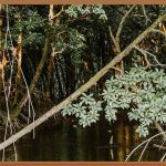 청주에서 나만의 공간, 캐노피로 완성!