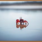 🎄환상적인 크리스마스: 잊지 못할 포토존, 나만의 공간에!