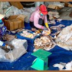 옷, 완벽하게 포장하는 꿀팁 대방출!