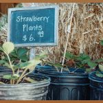 CO2 레이저, 합리적인 선택을 위한 모든 것