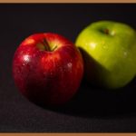 산수유, 붉은 보약의 놀라운 효능 5가지