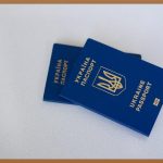 D10 비자, 대한민국 취업의 문을 열다!